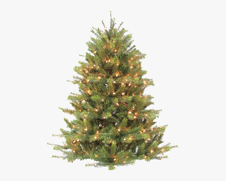 Christmas Tree, HD Png Download, Free Download