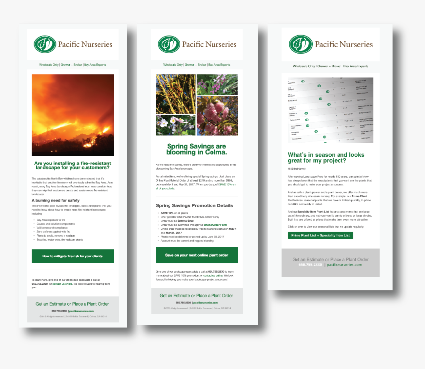 Email Marketing Automation For Pacific Nurseries - Flyer, HD Png Download, Free Download
