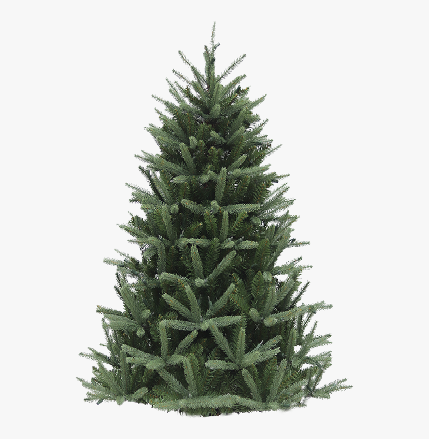 Kerstboom, HD Png Download, Free Download