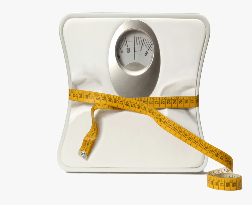 Weigh In Biggest Loser, HD Png Download, Free Download