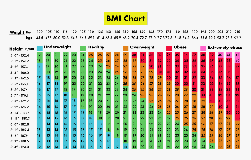 Do I Have To Be Friends With My Scale - Colorfulness, HD Png Download ...