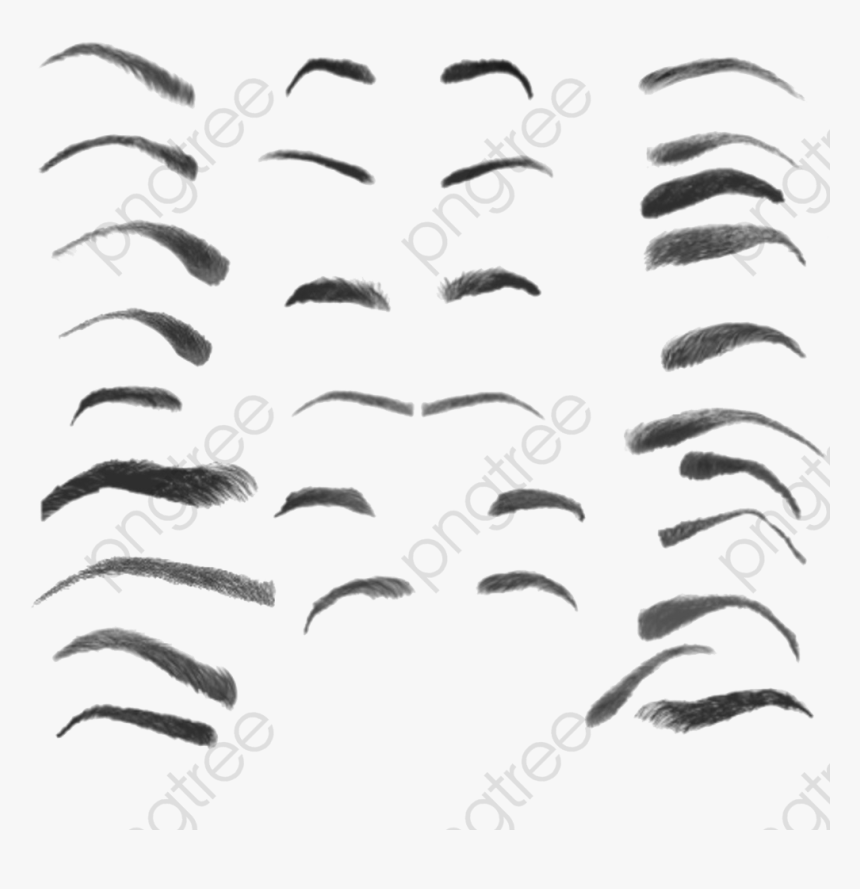 Eyebrow Female Make - Photoshop Brush Eyebrow, HD Png Download, Free Download