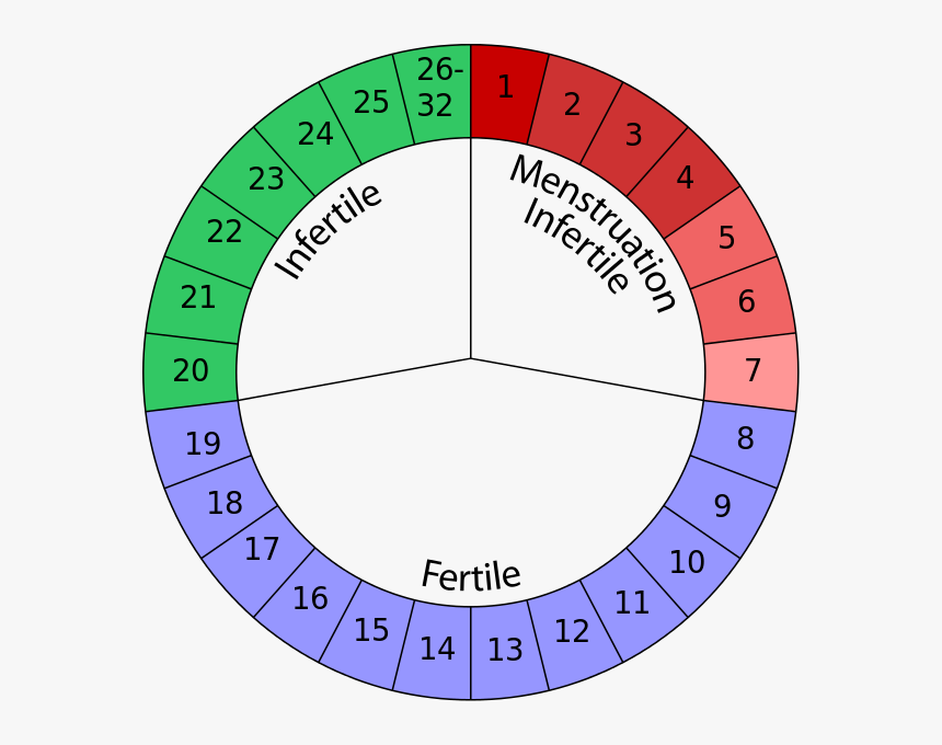 Family Planning Natural Methods, HD Png Download, Free Download