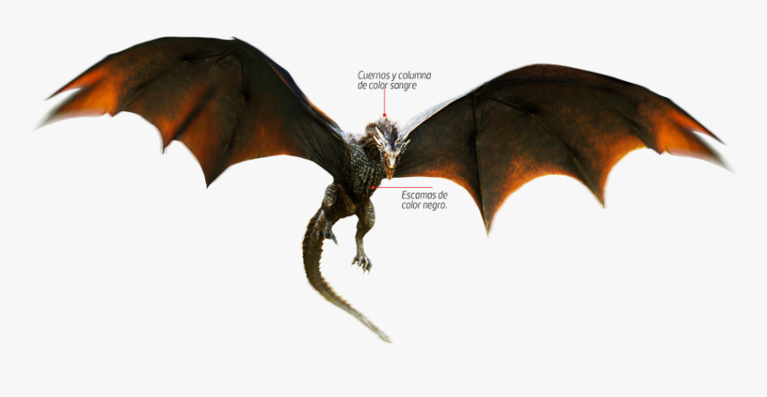 Drogon Daenerys Targaryen Rhaegal Viserion Khal Drogo - Game Of Thrones Dragon Png, Transparent Png, Free Download