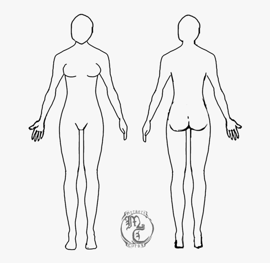 Transparent Body Outline Clipart - Female Outline Human Body, HD Png Download, Free Download