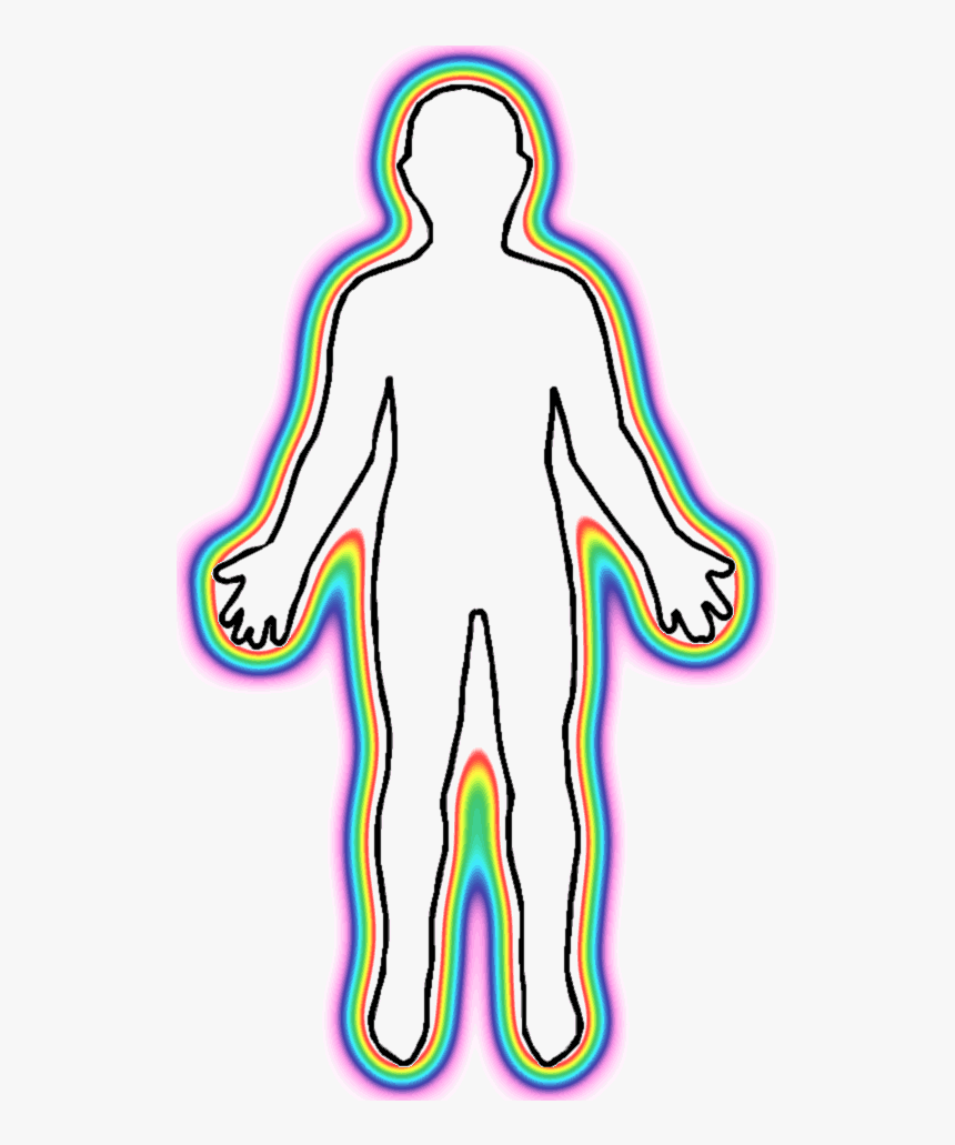 Clipart Human Body Outline - Blank Human Body Diagram No Background, HD Png Download, Free Download