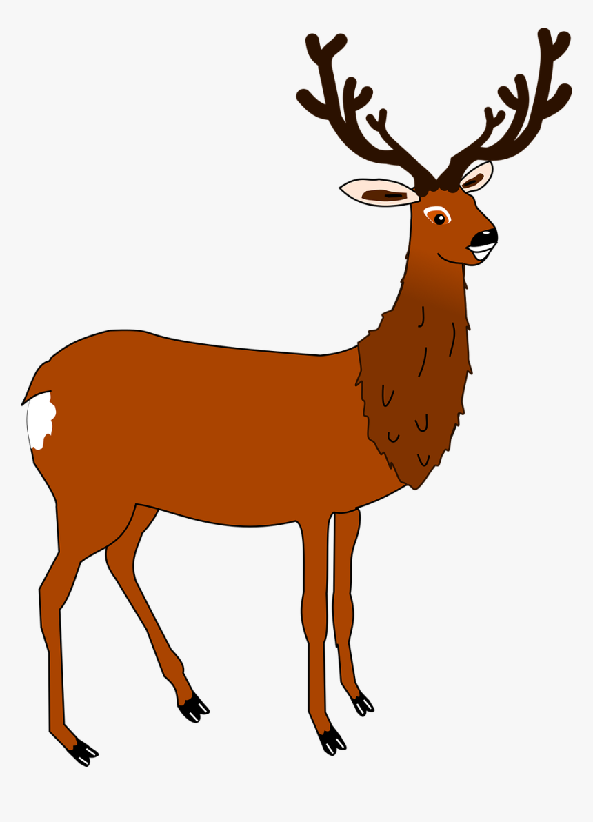 Buck Clipart, HD Png Download, Free Download