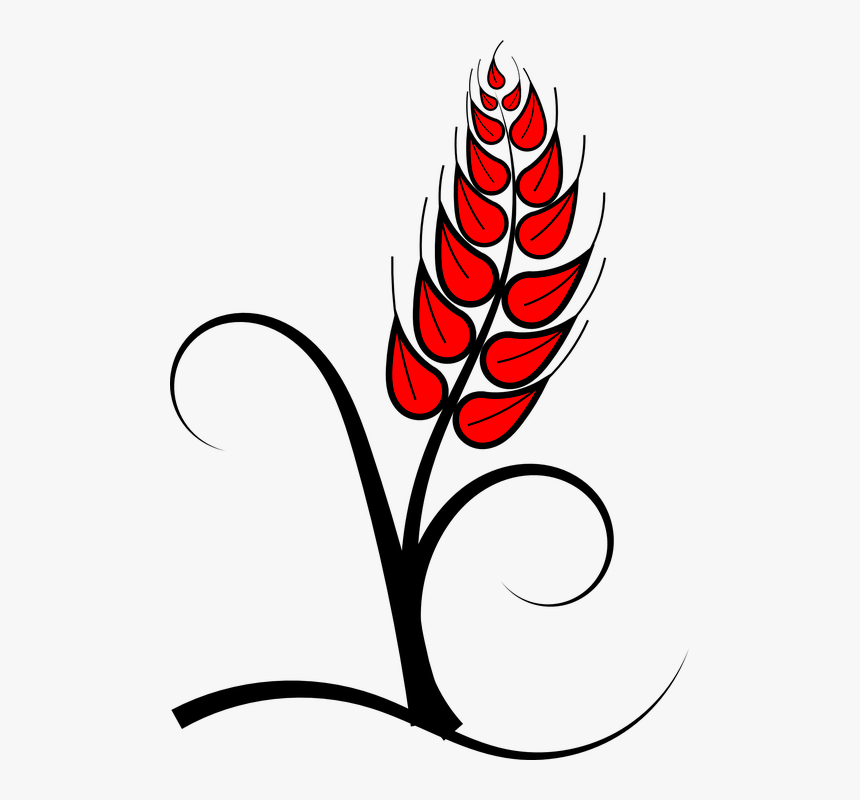 Corn Stalk Clipart 11, Buy Clip Art - Holy Eucharist Clipart Png, Transparent Png, Free Download