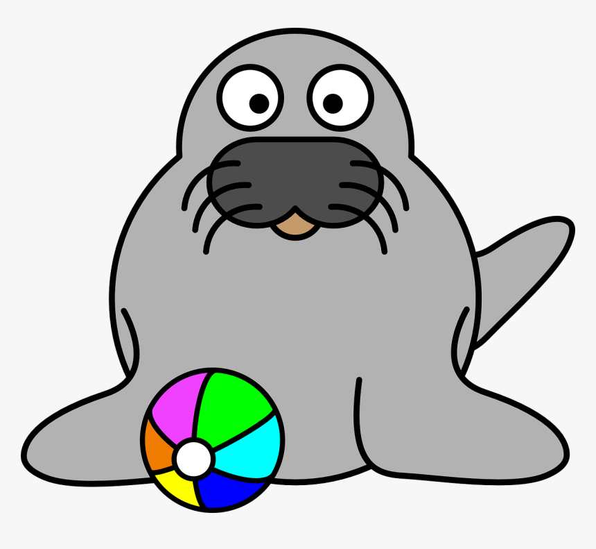 Outline Of A Walrus, HD Png Download, Free Download
