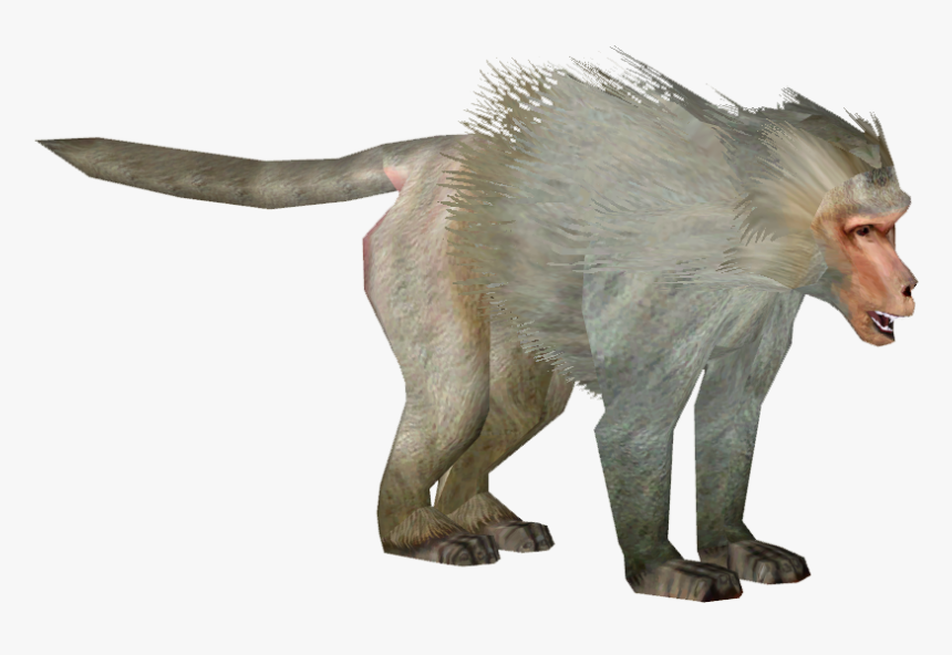 Hamadryas Baboon Png, Transparent Png, Free Download