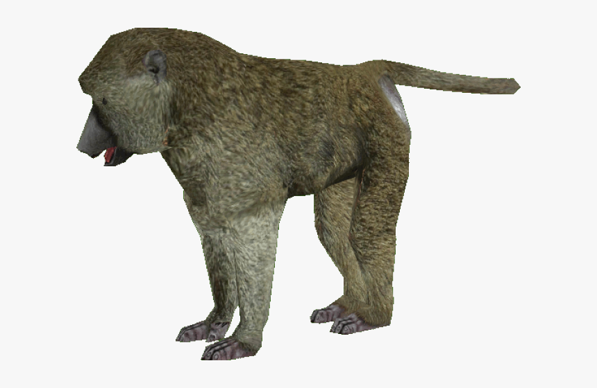 Baboon Png Transparent Images - Baboon Png, Png Download, Free Download