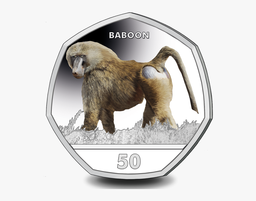 Transparent Baboon Png - Baboon Gibraltar, Png Download, Free Download