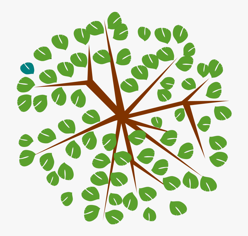 Free Tree-12c - Tree Icon Top View, HD Png Download, Free Download