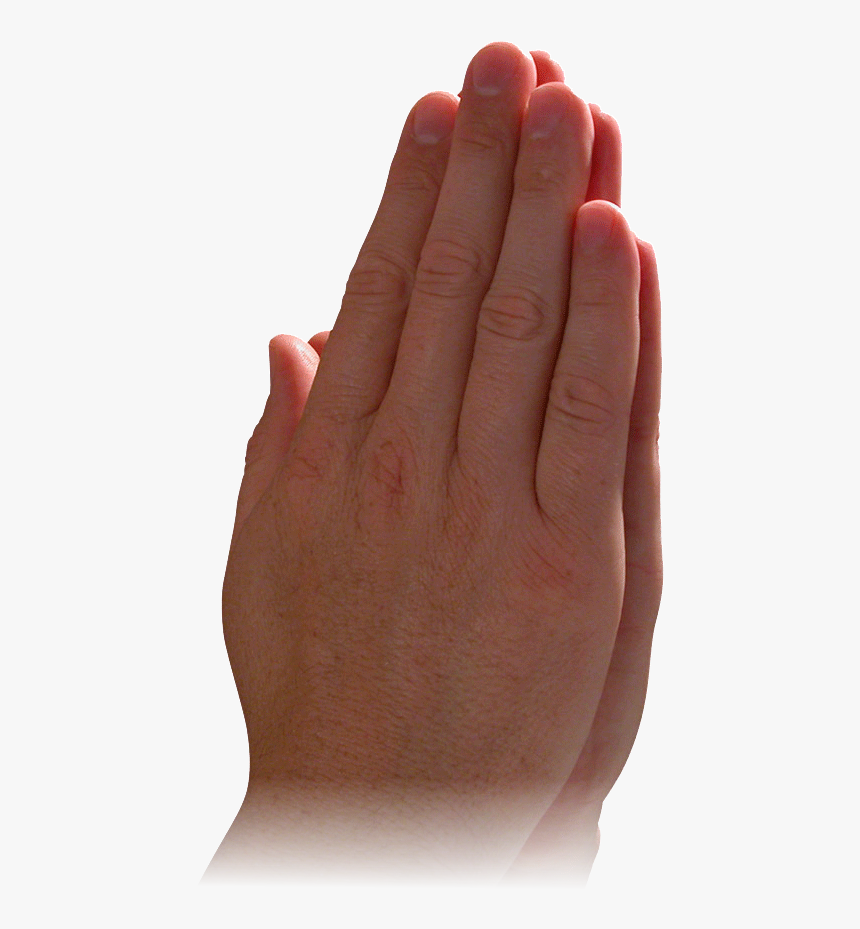 Praying Hands Prayer God Child Religion - Praying Hands, HD Png Download, Free Download