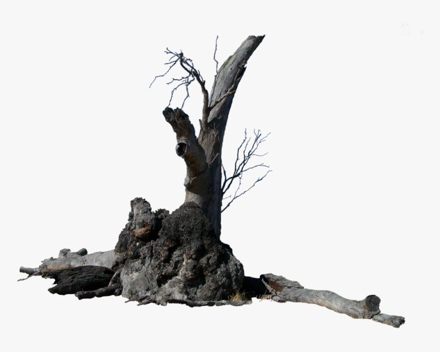 Lightning Tree Precut By Stockopedia D4rvisp - Lightning Tree Png, Transparent Png, Free Download