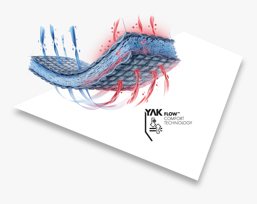 Graphic Design, HD Png Download, Free Download