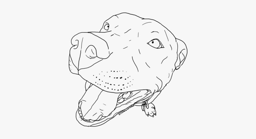 Drawn Pitbull Art - Digital Drawing Of Pitbull, HD Png Download, Free Download