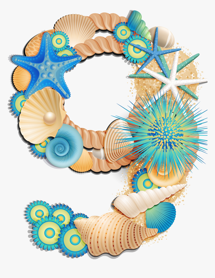 Seashells Clipart Beach Item, HD Png Download, Free Download