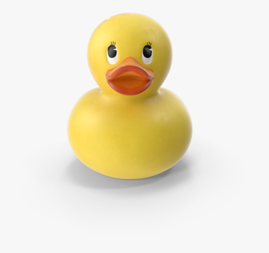 Transparent Duck Bill Png - Duck, Png Download, Free Download