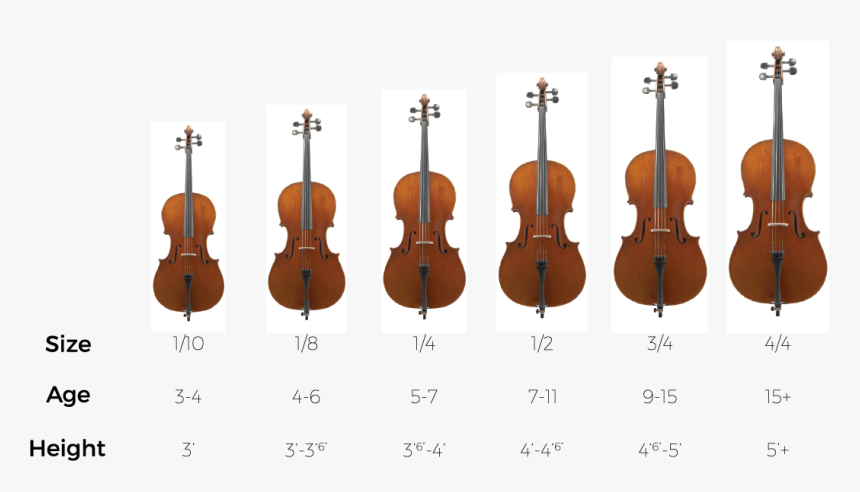 Transparent Violin Bow Png - Cello Size, Png Download, Free Download