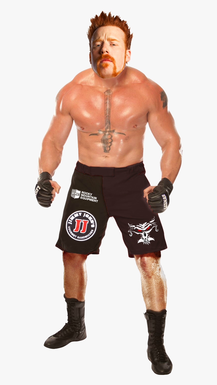 Ronaldo Png 2015 -[ Img] - Wwe Brock Lesnar Body, Transparent Png, Free Download