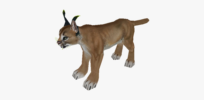 Download Zip Archive - Caracal Png, Transparent Png, Free Download