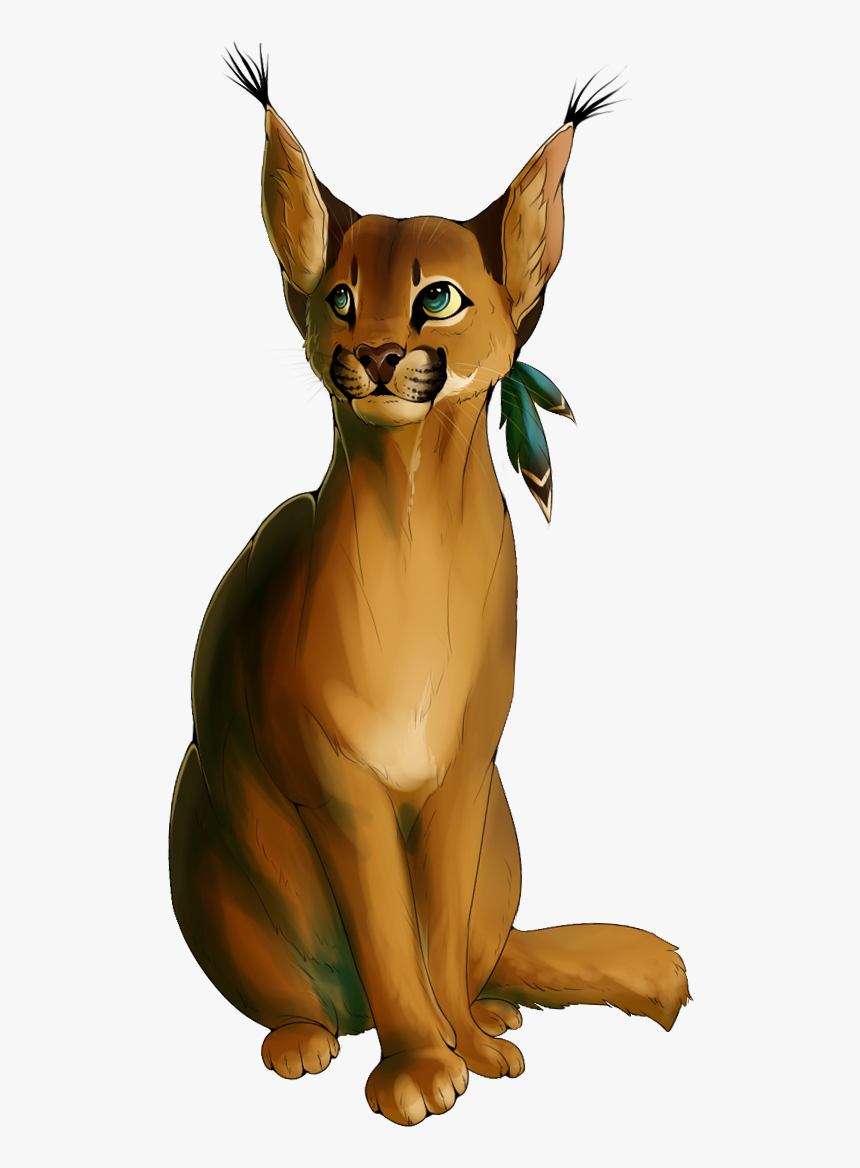Caracal Png -caracal - Abyssinian, Transparent Png, Free Download