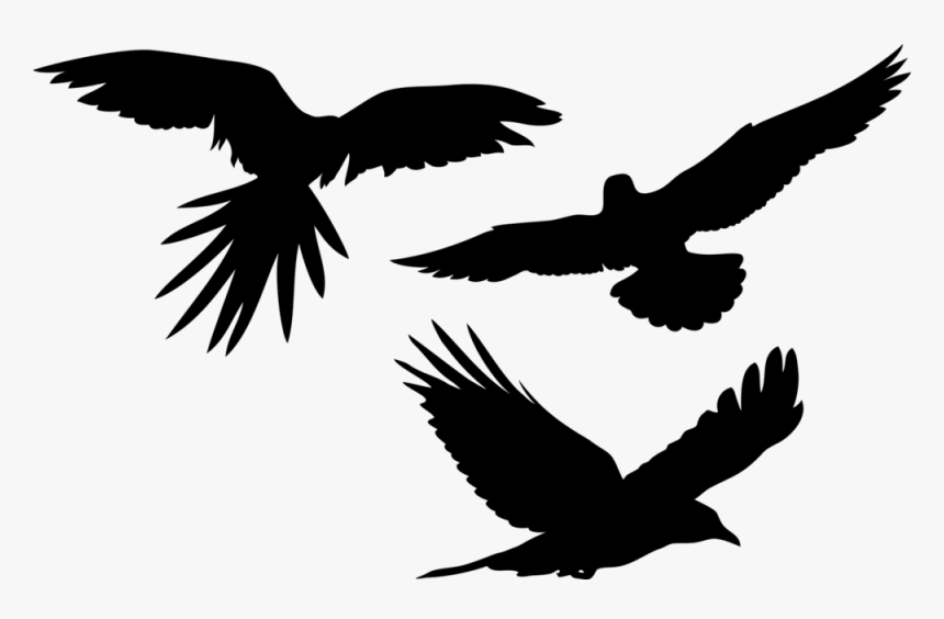 Animal-3175815 1280 - Parrot Flying Silhouette, HD Png Download, Free Download