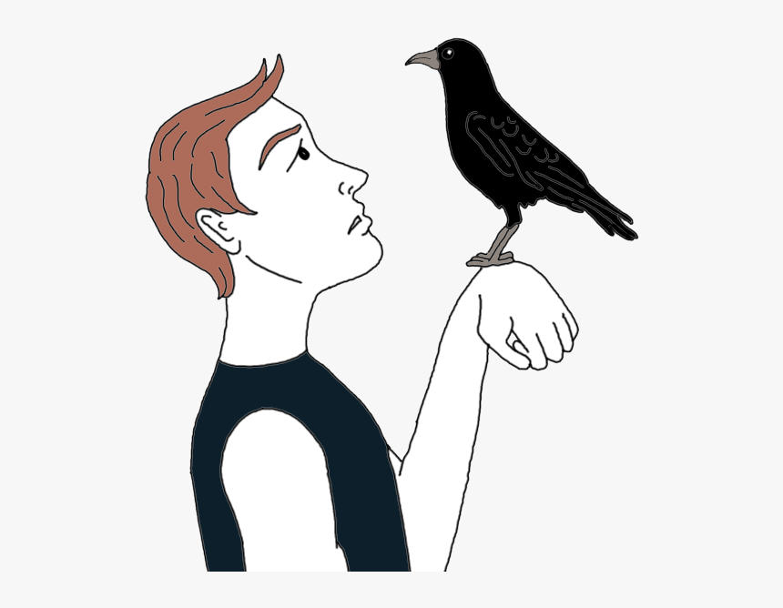 Transparent Flying Crows Png - Boy Holding A Crow Drawing, Png Download, Free Download
