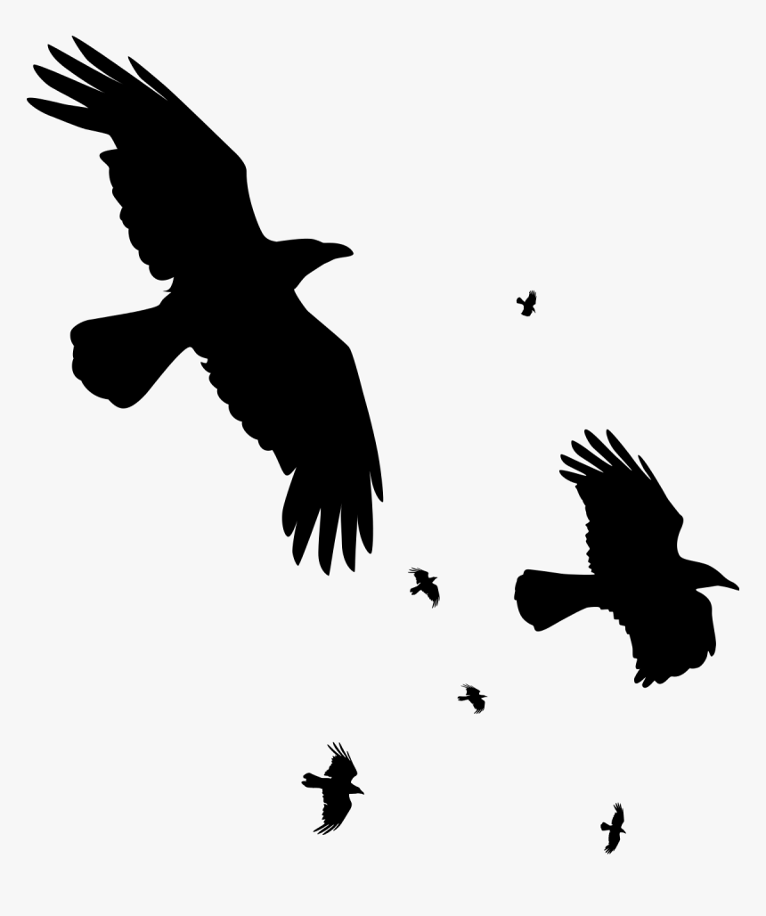 Silhouette Crow Png, Transparent Png, Free Download