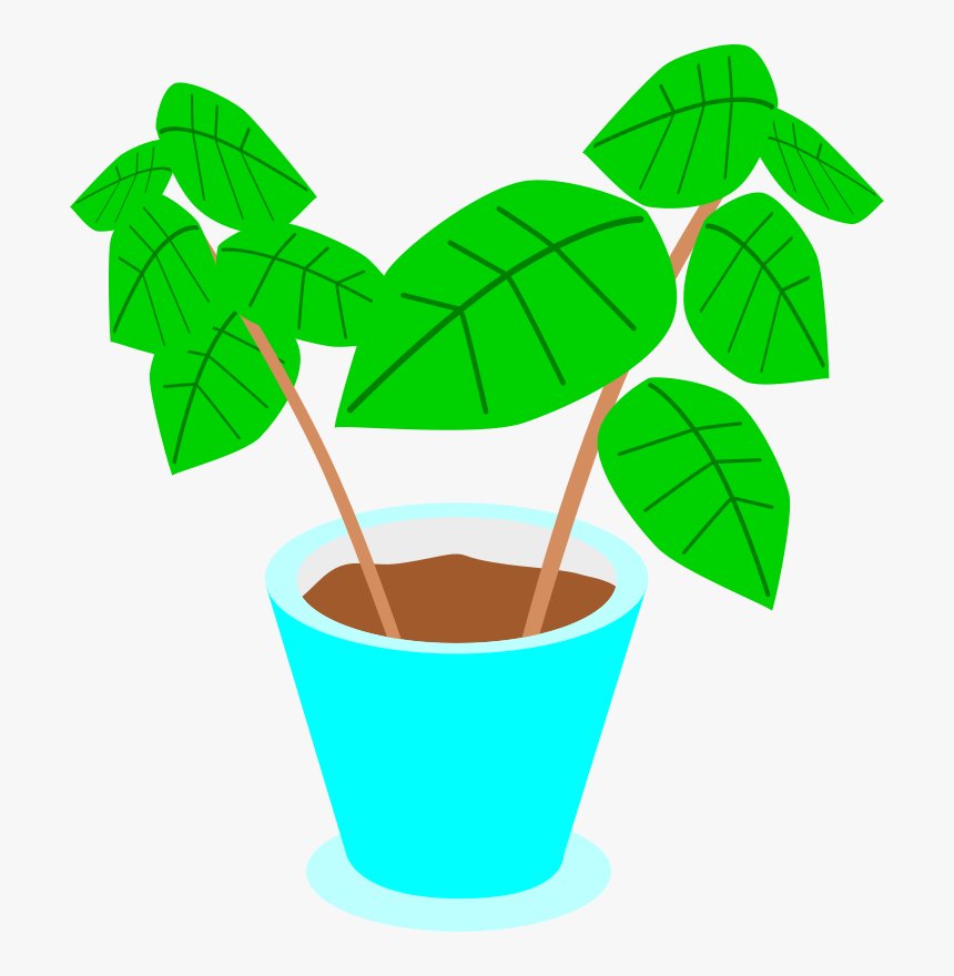 Plant In A Pot - Clipart On Pot Plants, HD Png Download, Free Download