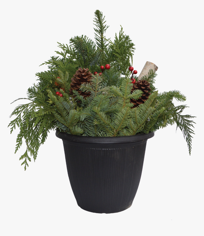 Flowerpot, HD Png Download, Free Download