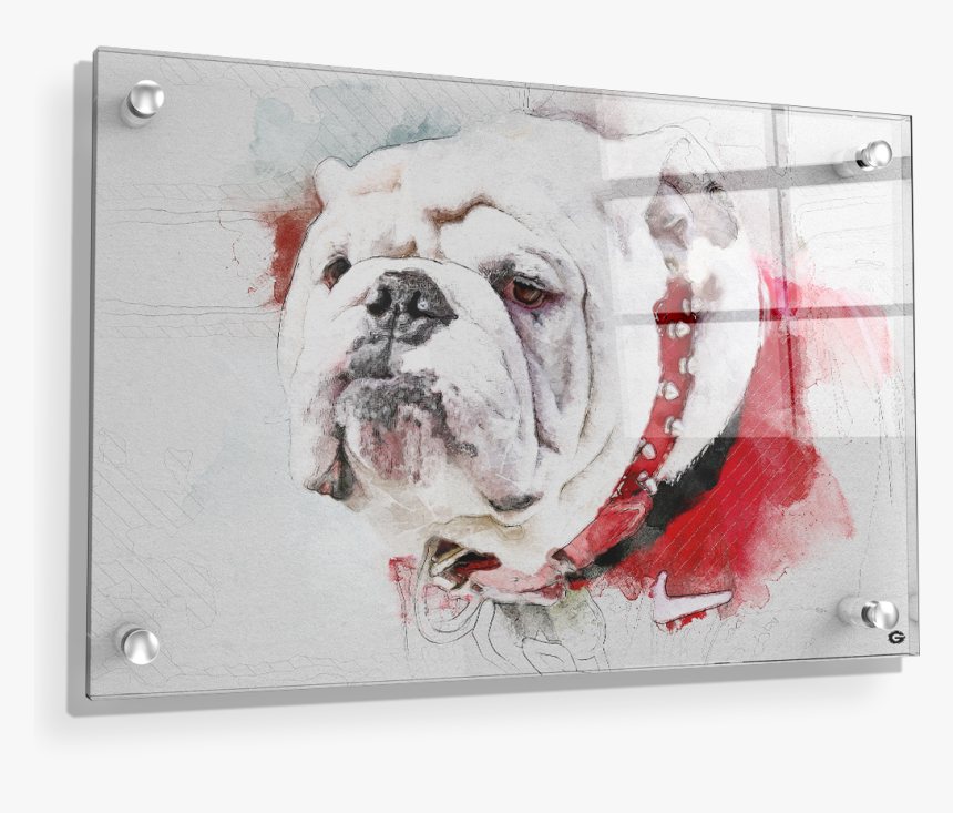 Uga Painting - Canvas Georgia Bulldog Painting, HD Png Download, Free Download
