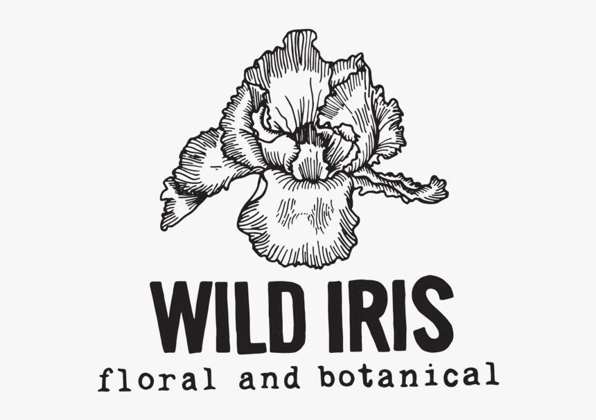 Iris-transperant - Begonia, HD Png Download, Free Download