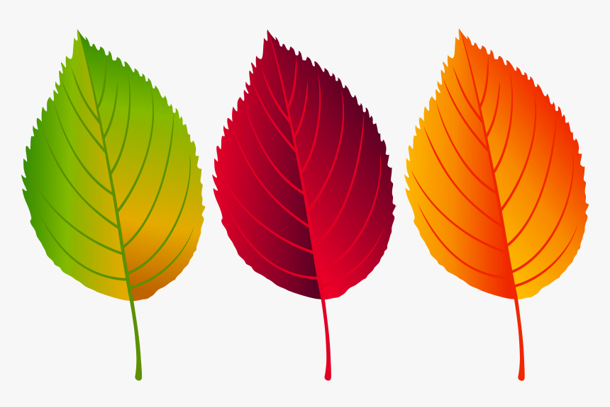 Clip Art Png Clip Art Image - Colorful Fall Leaves Clip Art, Transparent Png, Free Download