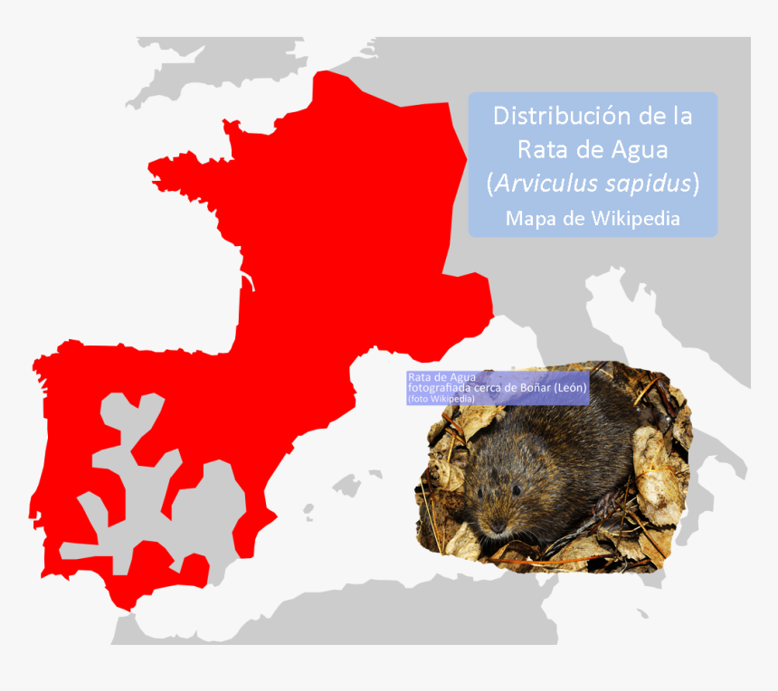 Transparent Rata Png - High Resolution Regions Of France Map, Png Download, Free Download