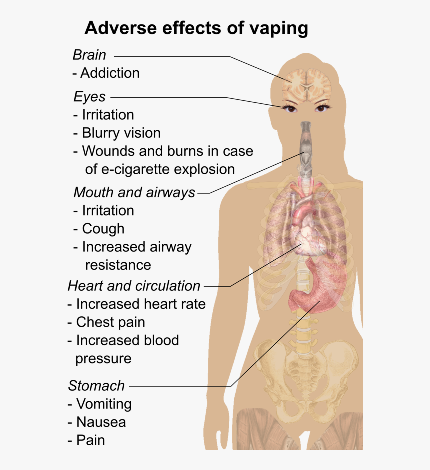 Harmful Effects Of Vaping, HD Png Download, Free Download
