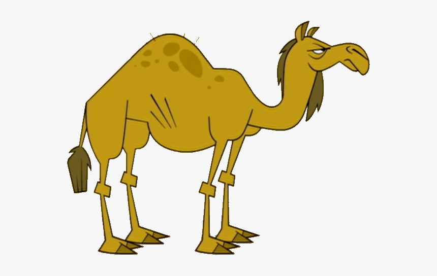 Total Drama Wiki - C Is For Camel, HD Png Download, Free Download