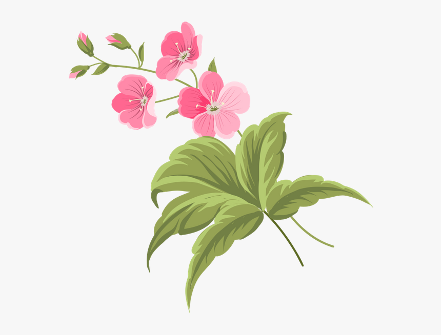 Цветы, Розовый Цветок, Flowers, Pink Flower, Spring, - Floral Botanical Png, Transparent Png, Free Download