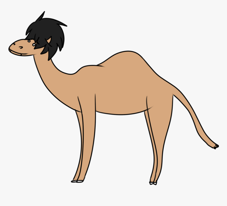 Graphic Free Library Camels Drawing Side View - Arabian Camel, HD Png Download, Free Download