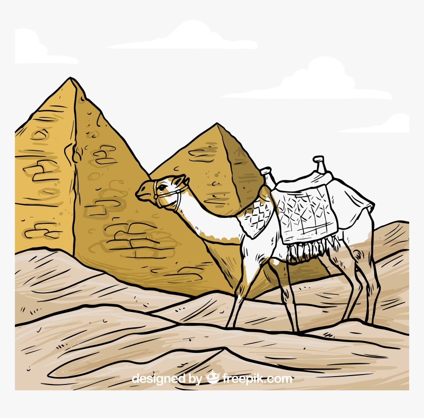 Camels Drawing Pyramid - Camel And Pyramids Drawing, HD Png Download, Free Download