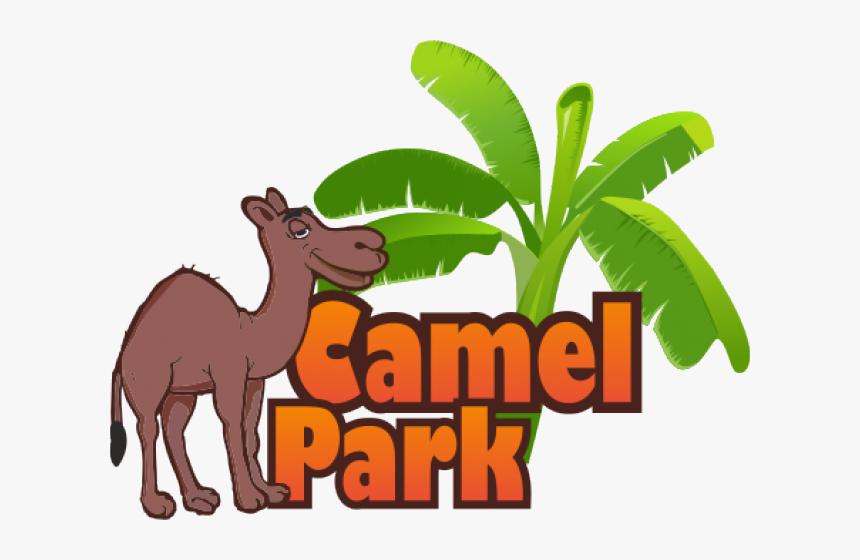 Transparent Camels Clipart - Camel Park Tenerife Logo, HD Png Download, Free Download