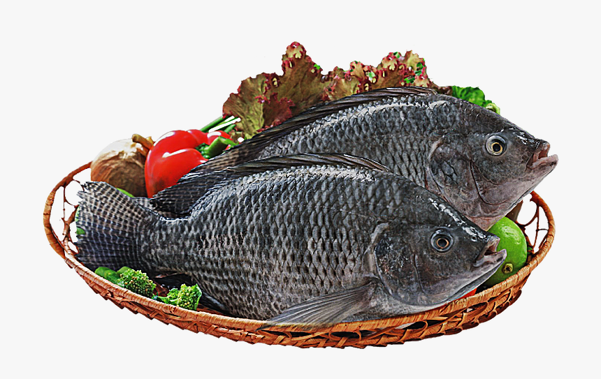 Whole Black Tilapia - Fish Products, HD Png Download, Free Download