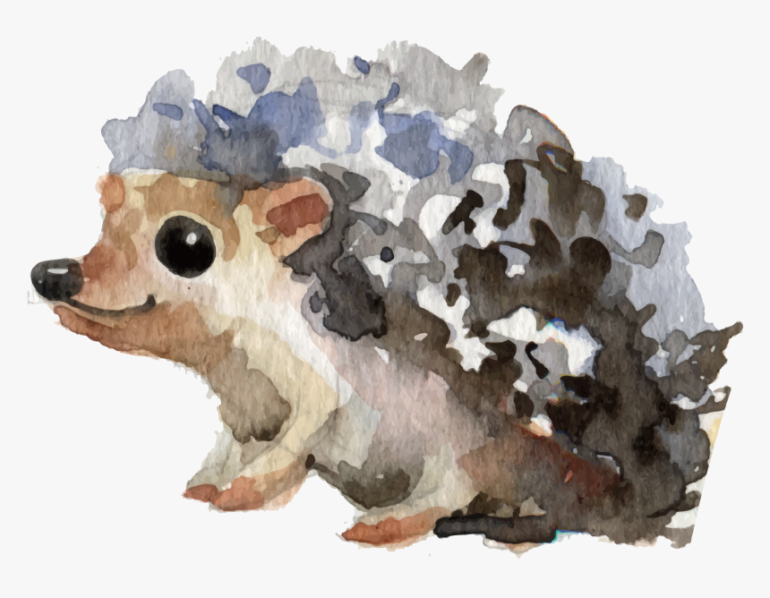 Hedgehog Clipart Watercolor Jpg - Hedgehog Clip Art Watercolor, HD Png Download, Free Download