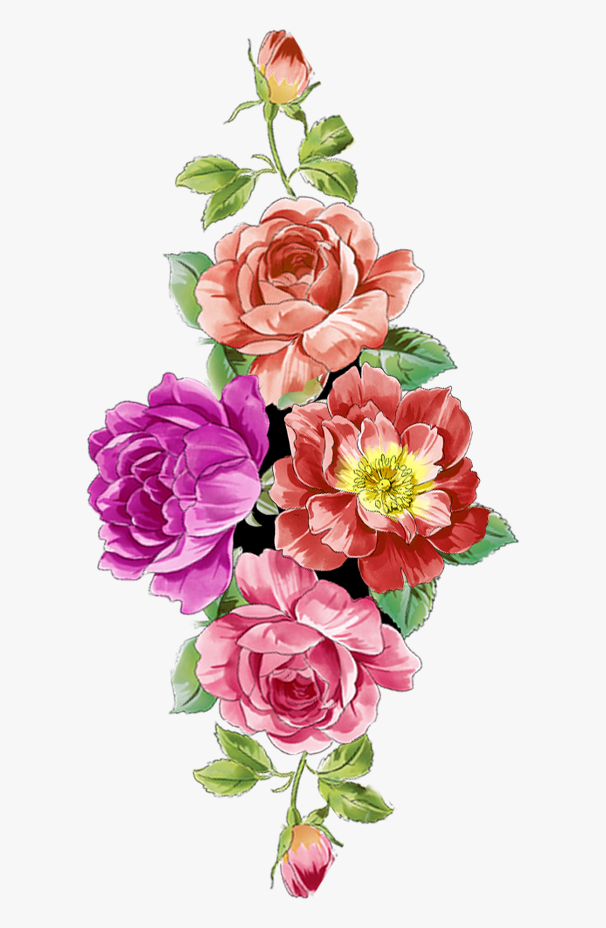 Digital Flower Design, Vector,flower,vector Art,flower - Garden Roses, HD Png Download, Free Download