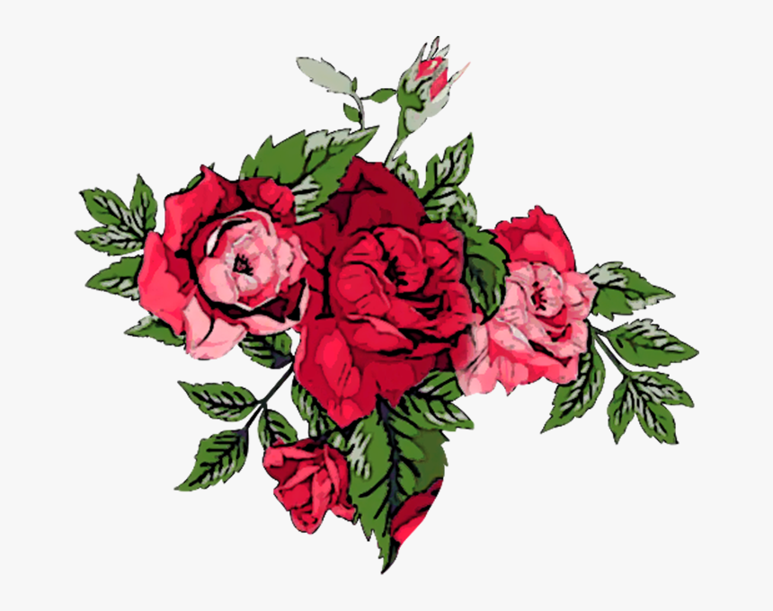 Vector,flower,vector Art,flower Vector,vector Flower - Hybrid Tea Rose, HD Png Download, Free Download