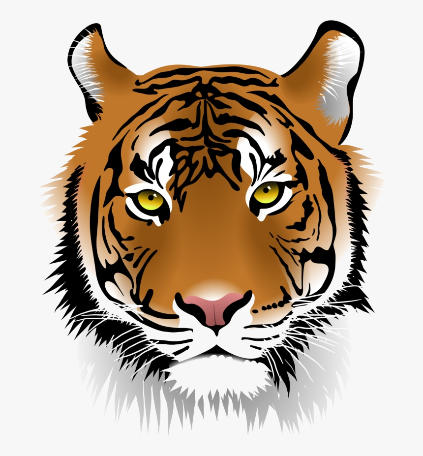 Tiger Cool Face White Clipart Transparent Png - Transparent Tiger Face Clipart, Png Download, Free Download