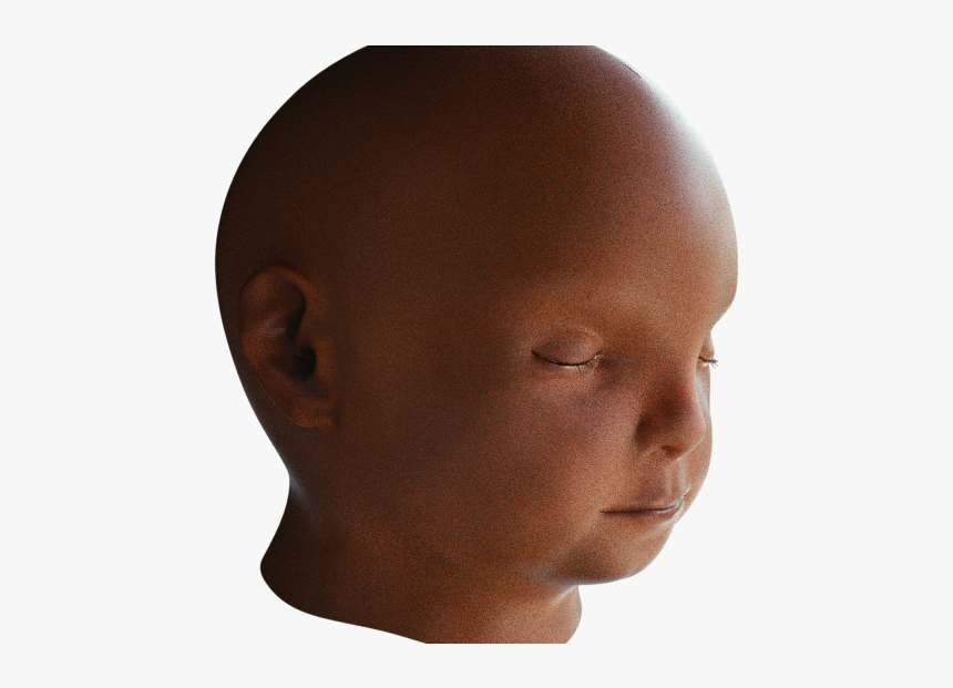 Baby Head Png, Transparent Png, Free Download