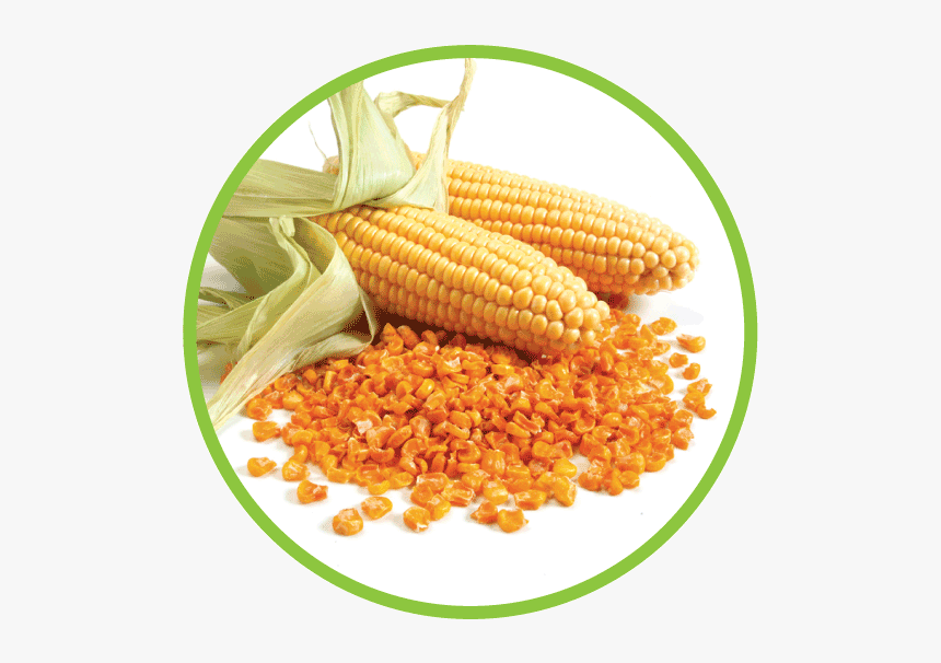 Corn Md Circle - Corn In A Circle, HD Png Download, Free Download