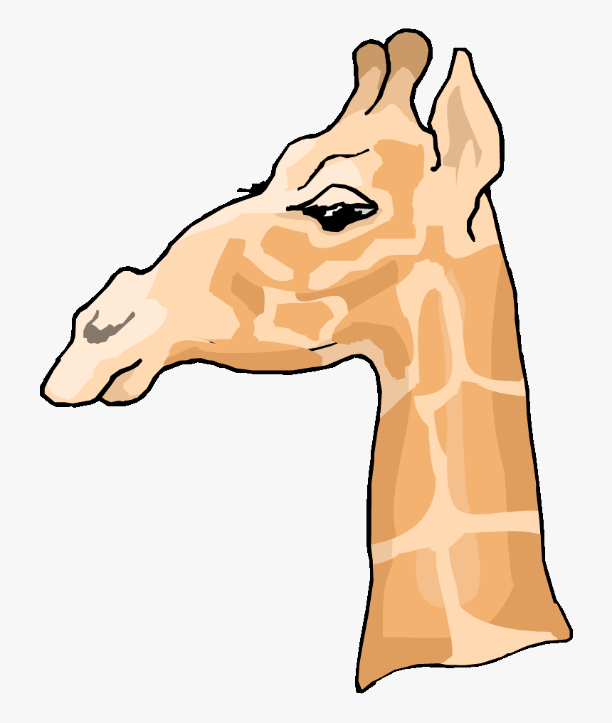 Free Giraffe Clipart - Giraffe Head Side Outline, HD Png Download, Free Download